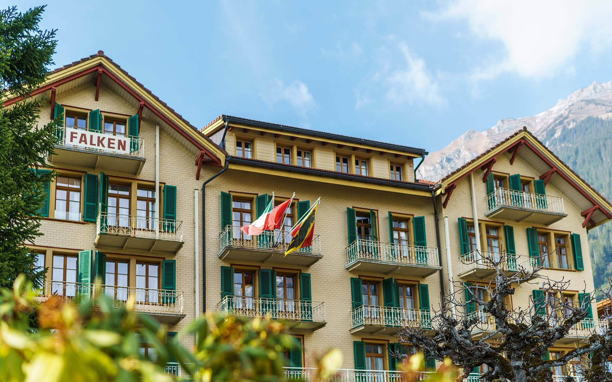 Hotel Falken