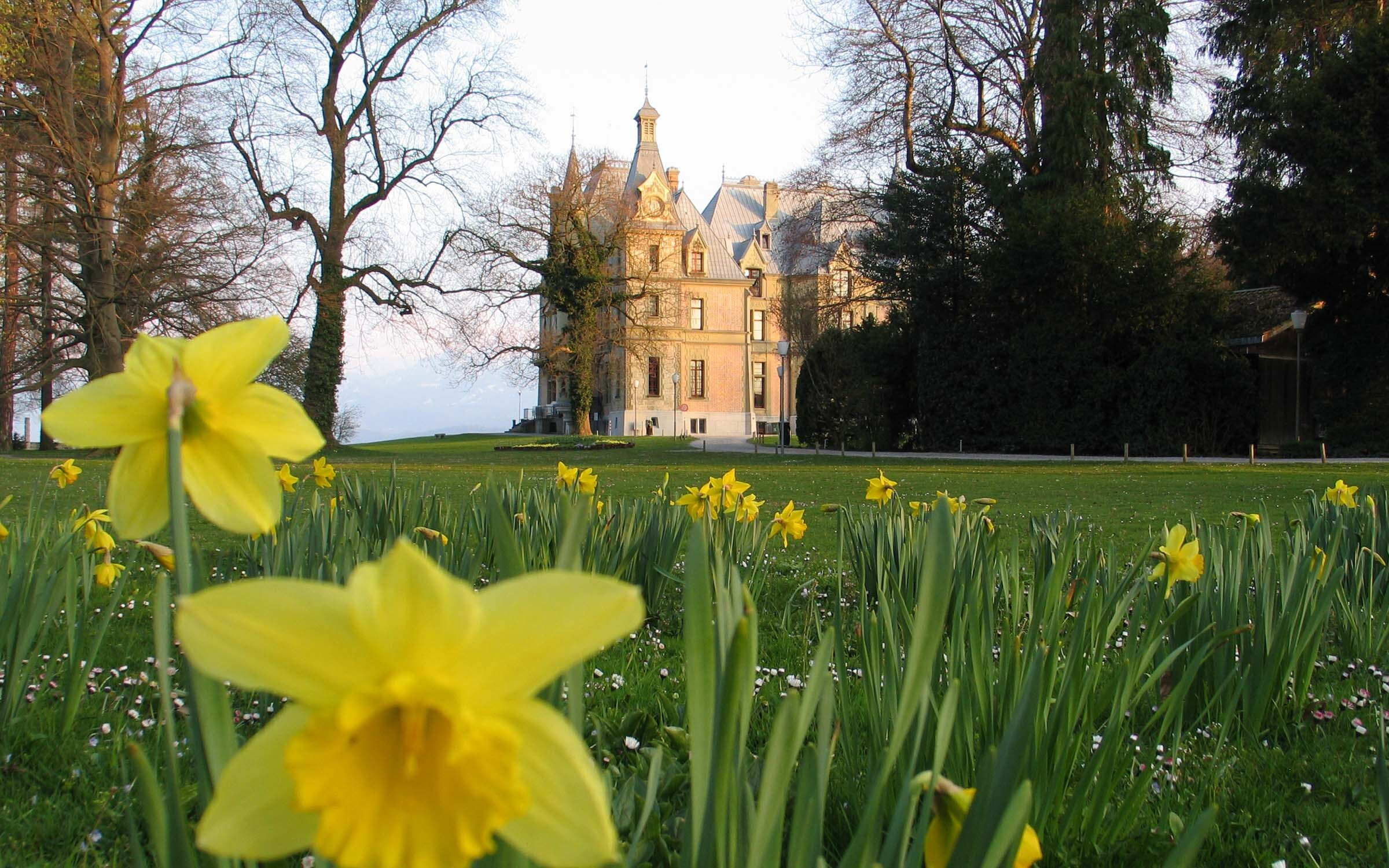 Schloss Schadau